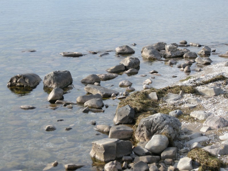 Shore Rocks in Calm Water MDMikus Copyright 2013