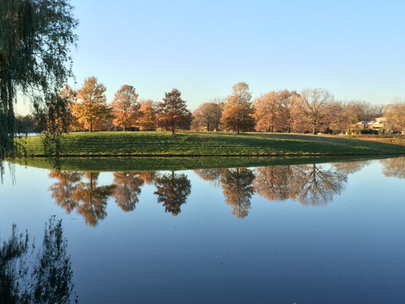 Chicago Botanic Garden Copyright 2016 MDMikus